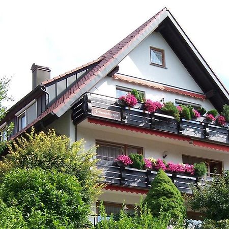 Landhaus Friedel Байерсброн Екстериор снимка